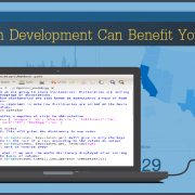 Custom Software Development Company Texas